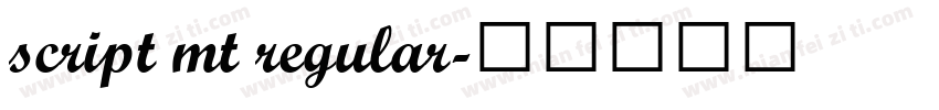 script mt regular字体转换
